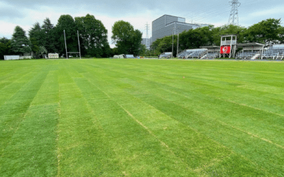 TifGrand Rugby Fields Updates